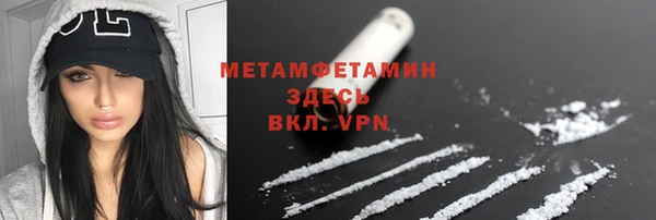 гидра Ельня